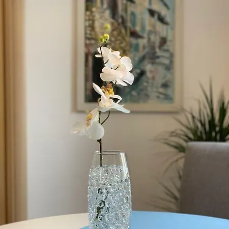 Apartman Portarata Pula